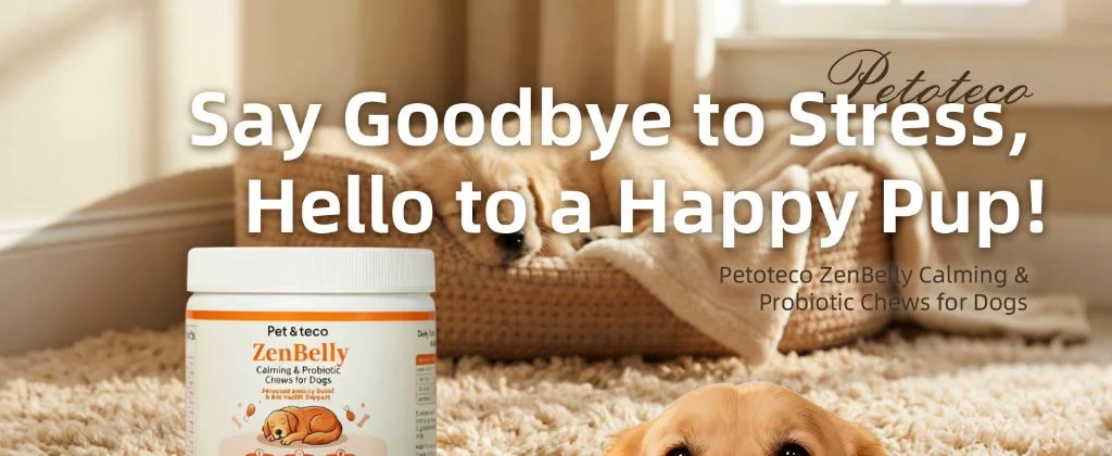 Say Goodbye to Stress, Hello to a Happy Pup