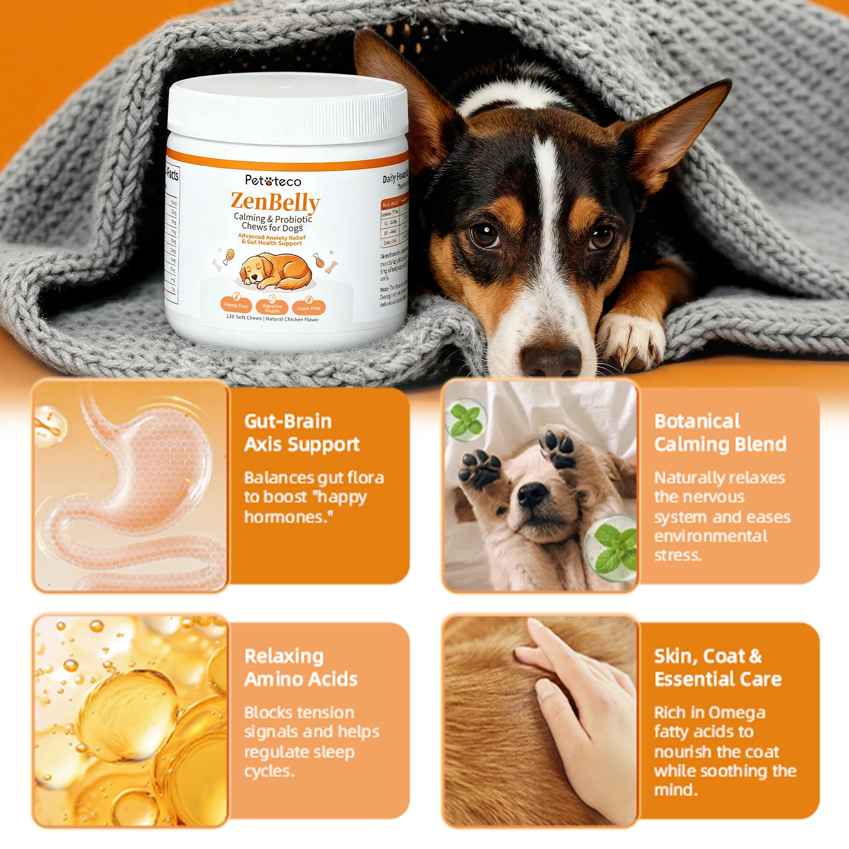 ZenBelly gut-brain formula overview